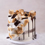 Smores Cake