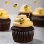 Honey Bee Cupcakes