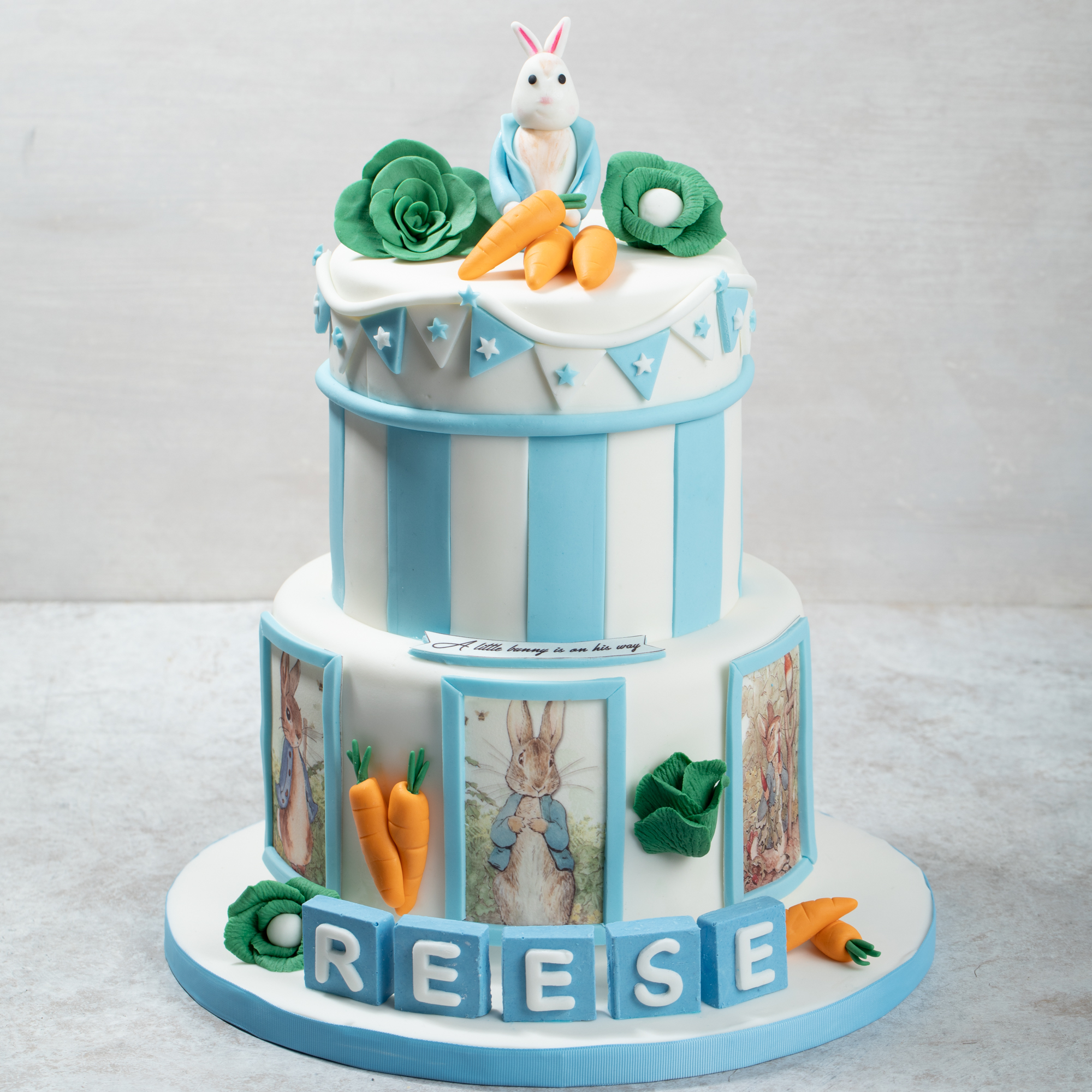 Peter Rabbit Cake