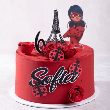 miraculous ladybug cake idea | Ladybug cake, Ladybug birthday party, Miraculous  ladybug party