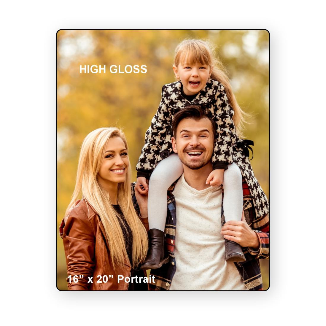 LumaPixx, Custom Metal Photo Print, 16" x 20" Portrait, Printed on High Gloss ChromaLuxe® Aluminum