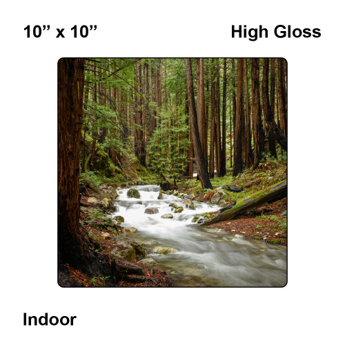 LumaPixx,  10" x 10", High Gloss, Indoor Custom Metal Photo Print