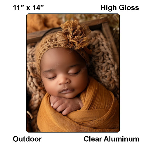 LumaPixx,  11" x 14", High Gloss, Clear Aluminum, Outdoor Custom Metal Photo Print