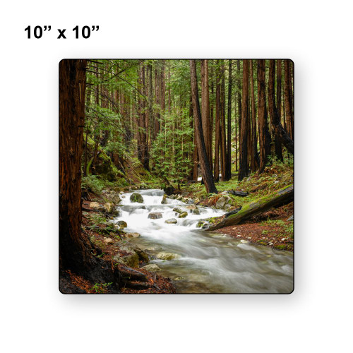 LumaPixx, Custom Metal Photo Print, 10" x 10", Choose From All Options