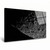 LumaPixx, Artemis II "Ready for a Close Up" Metal Photo Print, Stunning Photo Printed on a High Gloss Chromaluxe Metal Photo Panel. Choose Your Size