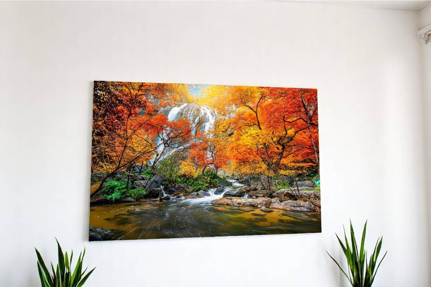 Everything You Need to Know About Metal Prints