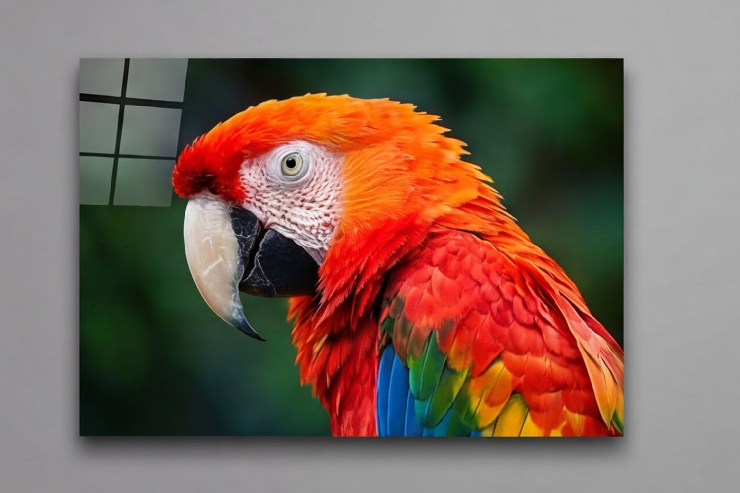 Vibrant Colors and Sharp Detail