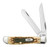 Amber Bone Peach Seed Jig Mini Trapper Pocket Knife