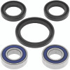 QBS Bearings QBS413301 Photo - Primary