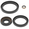 QBS Seals B QBS414115 Photo - Primary