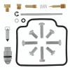 QBS Carburetor Kits QBS418174 Photo - Primary