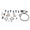 QBS Carburetor Kits QBS418062 Photo - Primary