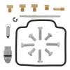 QBS Carburetor Kits QBS418147 Photo - Primary