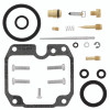 QBS Carburetor Kits QBS418331 Photo - Primary