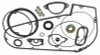 TWP Primary Gasket Kits TWP043243 Photo - Primary