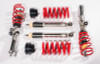 RSH Coilovers RSH421839 Photo - Primary