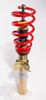 RSH Coilovers RSH421839 Photo - Close Up