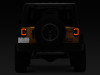 RAXJ138358 Photo - Close Up