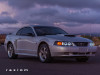 RAX49113 Photo - Close Up