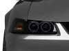 RAX49113 Photo - Close Up