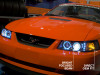 RAX101684 Photo - Close Up