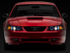 RAX101684 Photo - Close Up