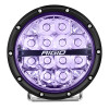 RIGC36412 User 1