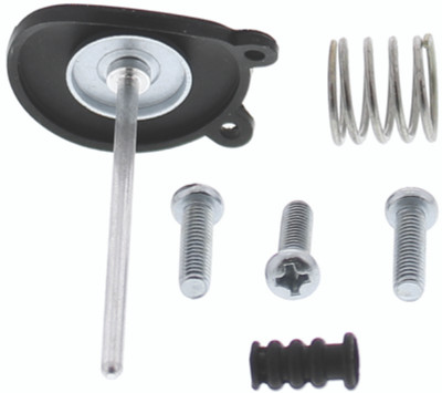 QBS Accelerator Pump Kits QBS420596 Photo - Primary