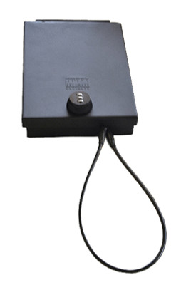TFY Portable Safe TFY300-01 Photo - Primary