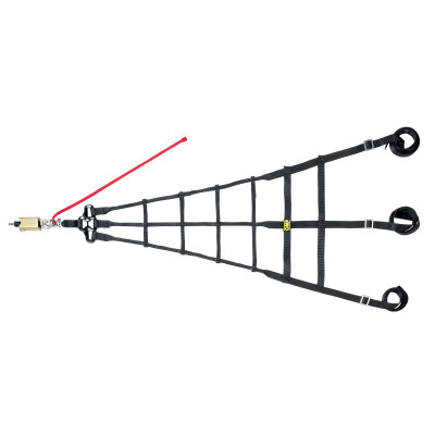 OMPNA0-1877 Photo - Primary