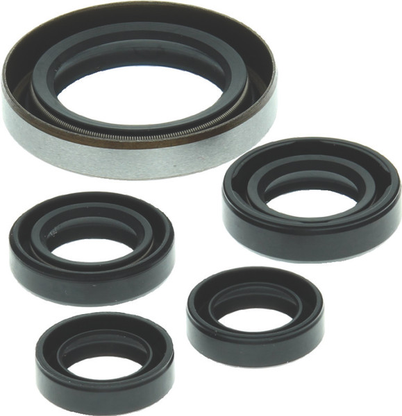 QuadBoss 06-07 Polaris Outlaw 500 Oil Seal Set - 564349