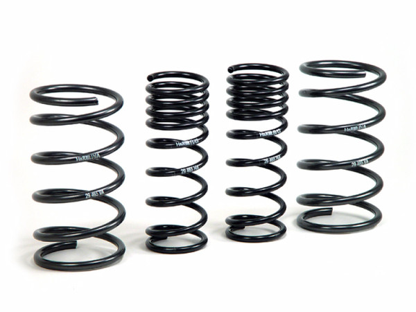 H&R 51665 Sport Coil Spring Lowering Kit For 2000-2000 Ford Focus