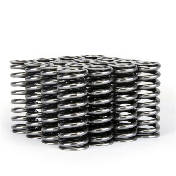 Skunk2 Racing 311-05-1345 Alpha Series Valve Spring Set For Honda D16 VTEC NEW