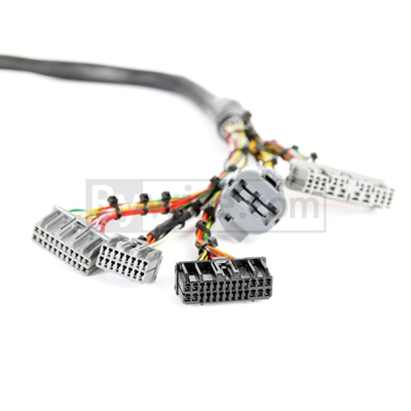 Rywire RY-B1-MILSPEC Milspec For Honda D & B-series Engine Harness (OBD1)