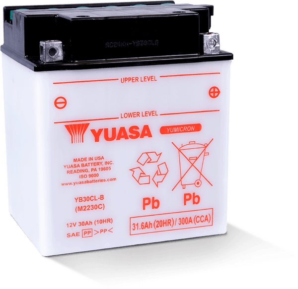 Yuasa YB30CL-B Yumicron CX 12-Volt Battery - YUAM2230CTWN