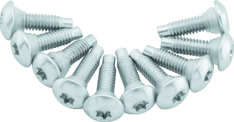Twin Power 01-17 Softail Models 02-07 FLH FLHT Fuel Pump Plate Screw Kit Replaces H-D 1311D - 046268