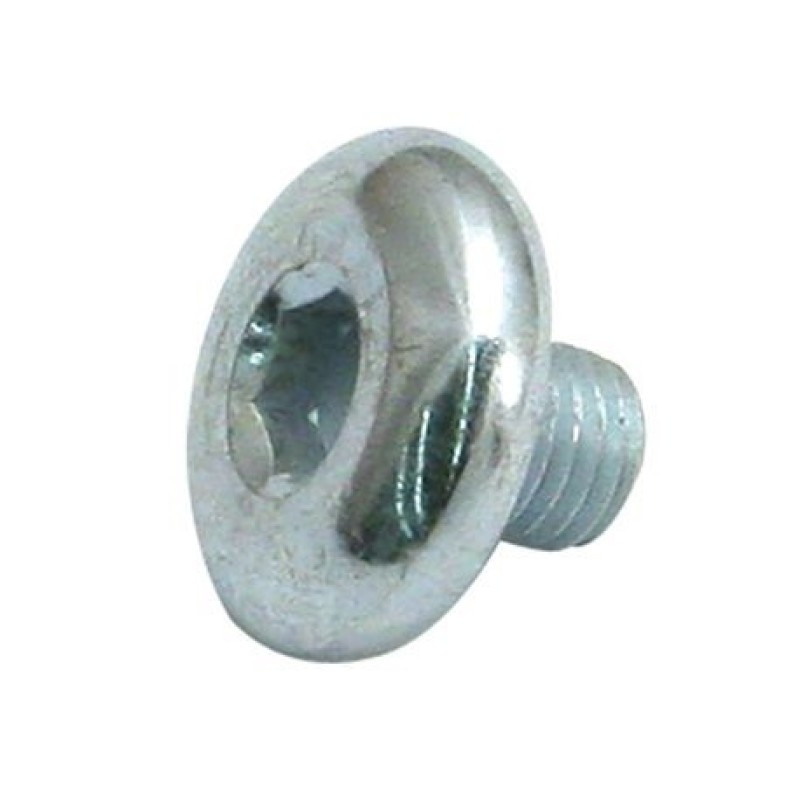 S&S Cycle Backplate Vent Breather Screw w/ Special Socket Panhead - 17-0346
