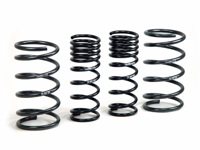 H&R 51665 Sport Coil Spring Lowering Kit For 2000-2000 Ford Focus