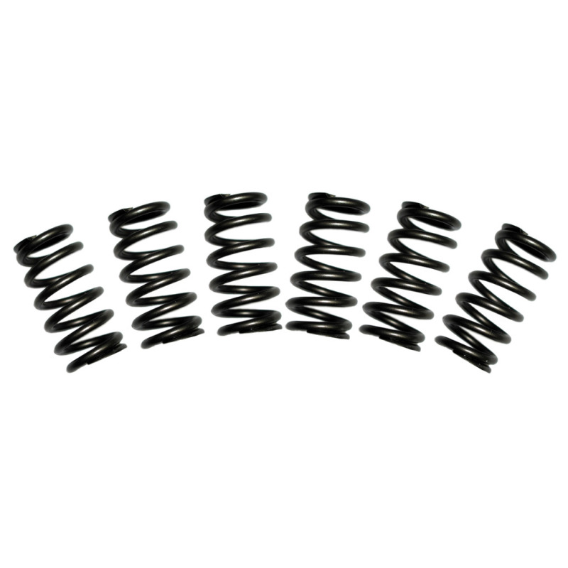 BD Diesel Performance 1030060 Valve Spring Kit - 60 lbs., For Dodge Cummins