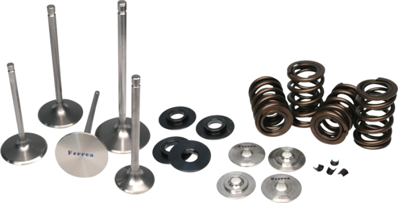 Ferrea KT4002 High Pressure Dual Spring Kit For Acura/Honda B18/B16 NEW