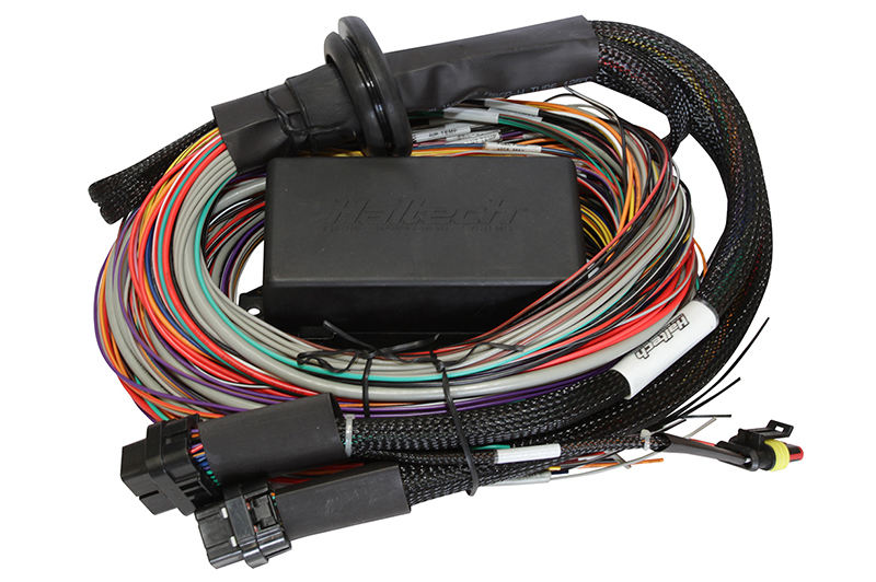 Haltech Elite 1500 8ft Premium Universal Wire-In Harness - HT-140904