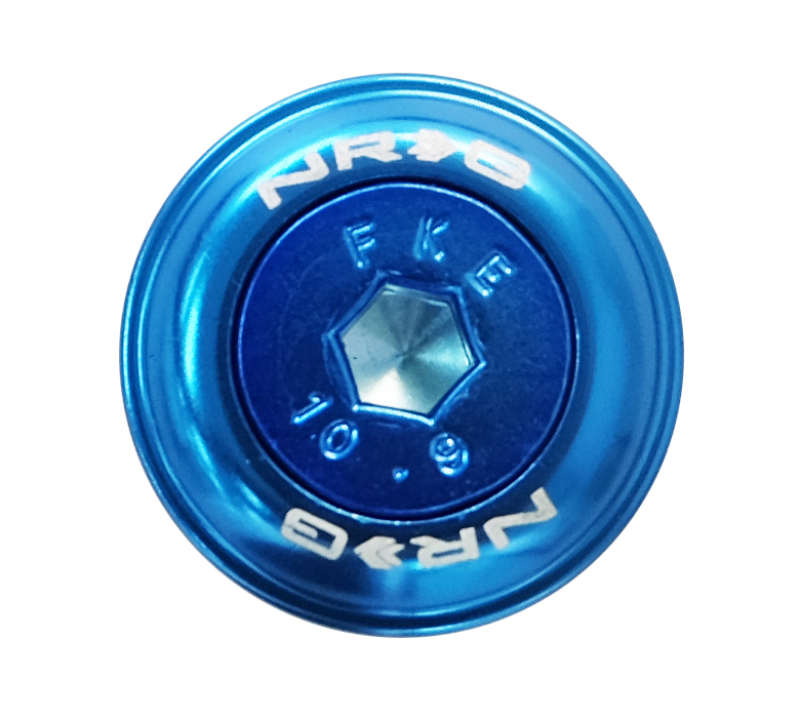 NRG Fender Washer Kit w/Color Matched M6 Bolt Rivets For Plastic (Blue) - Set of 10 - FW-150BL