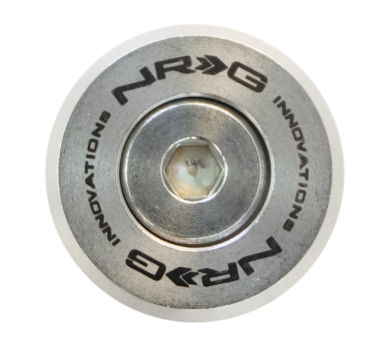 NRG M Style Fender Washer Kit TI Series M6 Bolts For Metal (Silver Washer/Silver Screw) - Set of 10 - FW-380SS