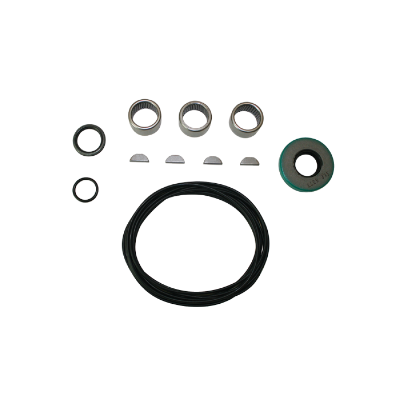 Moroso 97650 Replacement Parts Kit For D/S Pump