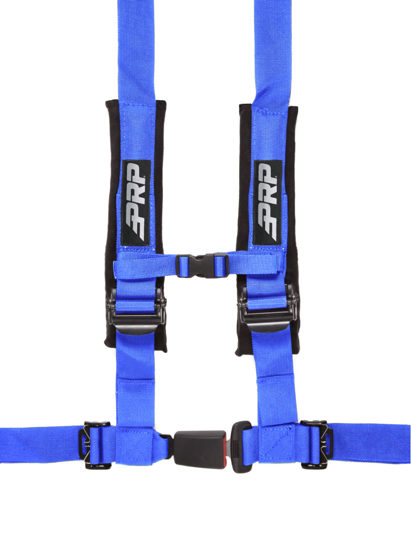 PRP 4.2 Harness- Blue - SBAUTO2B