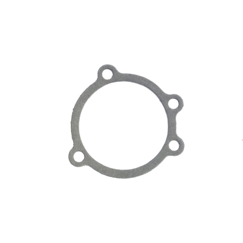 Athena Harley-Davidson Sportsters Air Cleaner Housing Gasket - Set of 10 - S410195093008