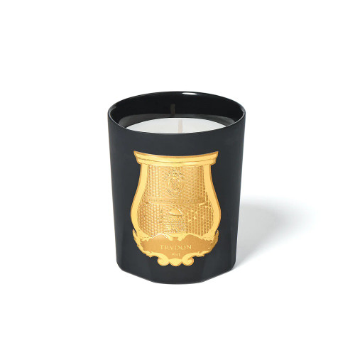 TRUDON MARY TESTER 9.5 SCENTED CANDLE TRUDON MARY TESTER 9.5 SCENTED CANDLE