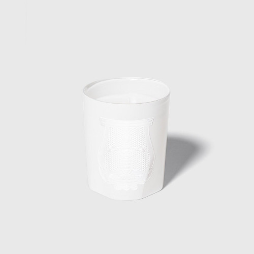 TRUDON POSITANO SPECIAL EDITION TESTER 9.5 SCENTED CANDLE TRUDON POSITANO SPECIAL EDITION TESTER 9.5 SCENTED CANDLE