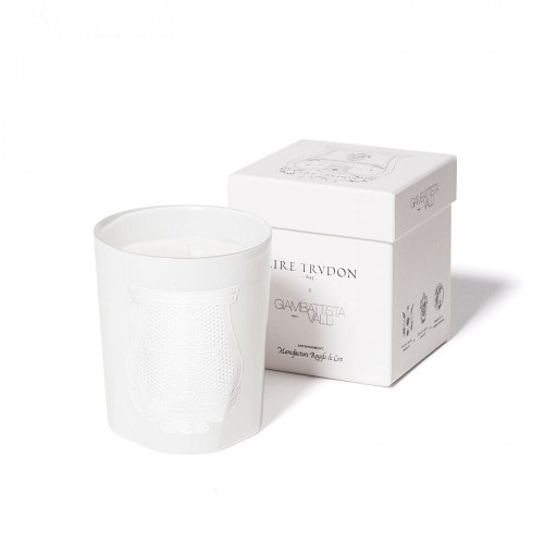 TRUDON POSITANO SPECIAL EDITION 9.5 SCENTED CANDLE TRUDON POSITANO SPECIAL EDITION 9.5 SCENTED CANDLE
