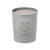 DIPTYQUE FEU DE BOIS 21 OZ CANDLE